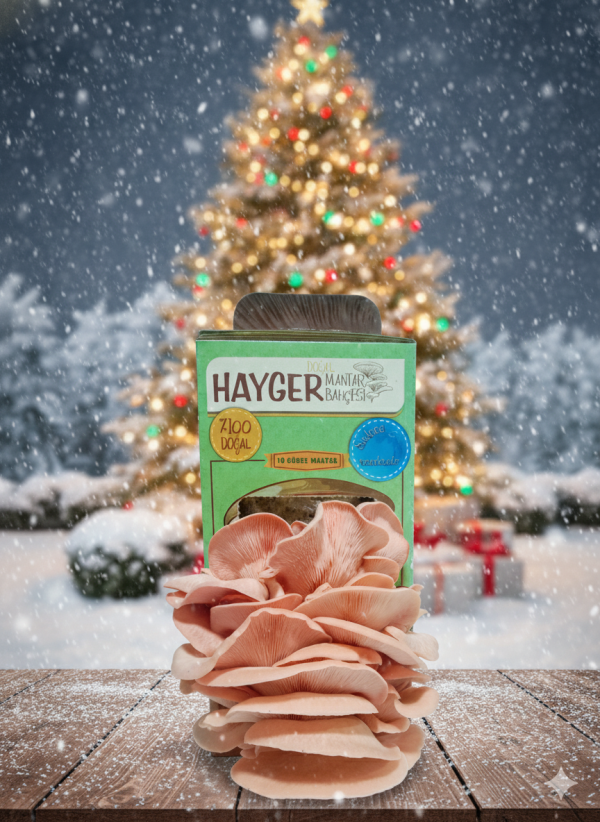 pembe mantar baçesi mushroom grow kits