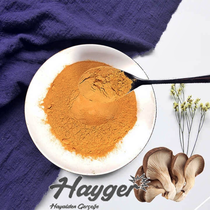 hayger kuru istiridye mantarı toz