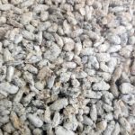 Mantar tohumu nedir?Nasıl olmalıdır?